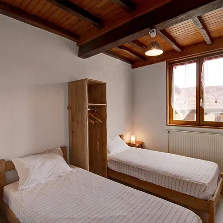 De Charme Avec Cheminee, Balcon Et Jardin A St-medard-en-forez - Fr-1-496-279