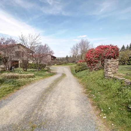 Holiday home De Charme Avec Cheminee, Balcon Et Jardin A St-medard-en-forez - Fr-1-496-279