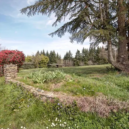 De Charme Avec Cheminee, Balcon Et Jardin A St-medard-en-forez - Fr-1-496-279 Holiday home *